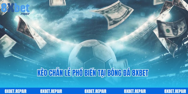 Bóng đá 8xbet: Web chơi cá cược môn thể thao vua uy tín số 1 5 Cược chẵn lẻ thú vị cùng các trận đấu bóng đá 8xbet