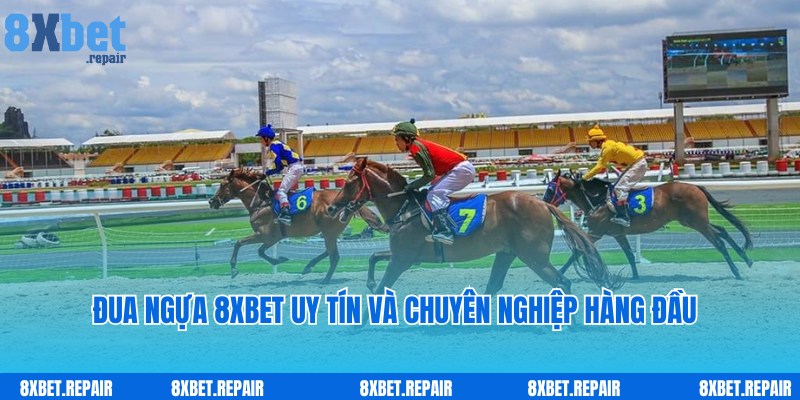 Đua ngựa 8xbet: Siêu phẩm đua ngựa trực tuyến đẳng cấp 2 Hình thức cược đua ngựa 8xbet hấp dẫn, nổi tiếng hàng đầu