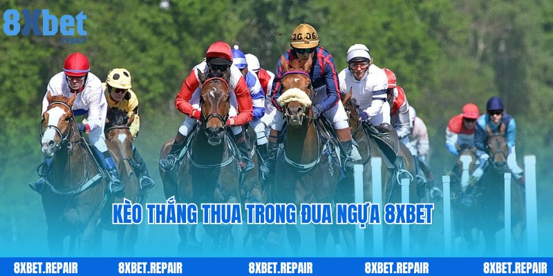 Đua ngựa 8xbet: Siêu phẩm đua ngựa trực tuyến đẳng cấp 4 Kèo thắng hấp dẫn, quen thuộc trong cược đua ngựa 8xbet