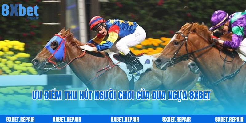 Đua ngựa 8xbet: Siêu phẩm đua ngựa trực tuyến đẳng cấp 3 Đua ngựa 8xbet thu hút hội viên với ưu điểm đặc biệt nổi trội